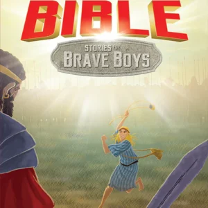 Bible Stories For Brave Boys