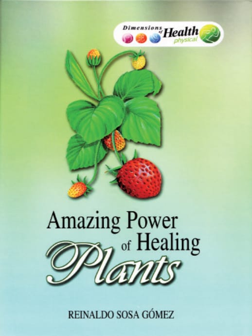 amazing power of healing plants amazing power of healing plants