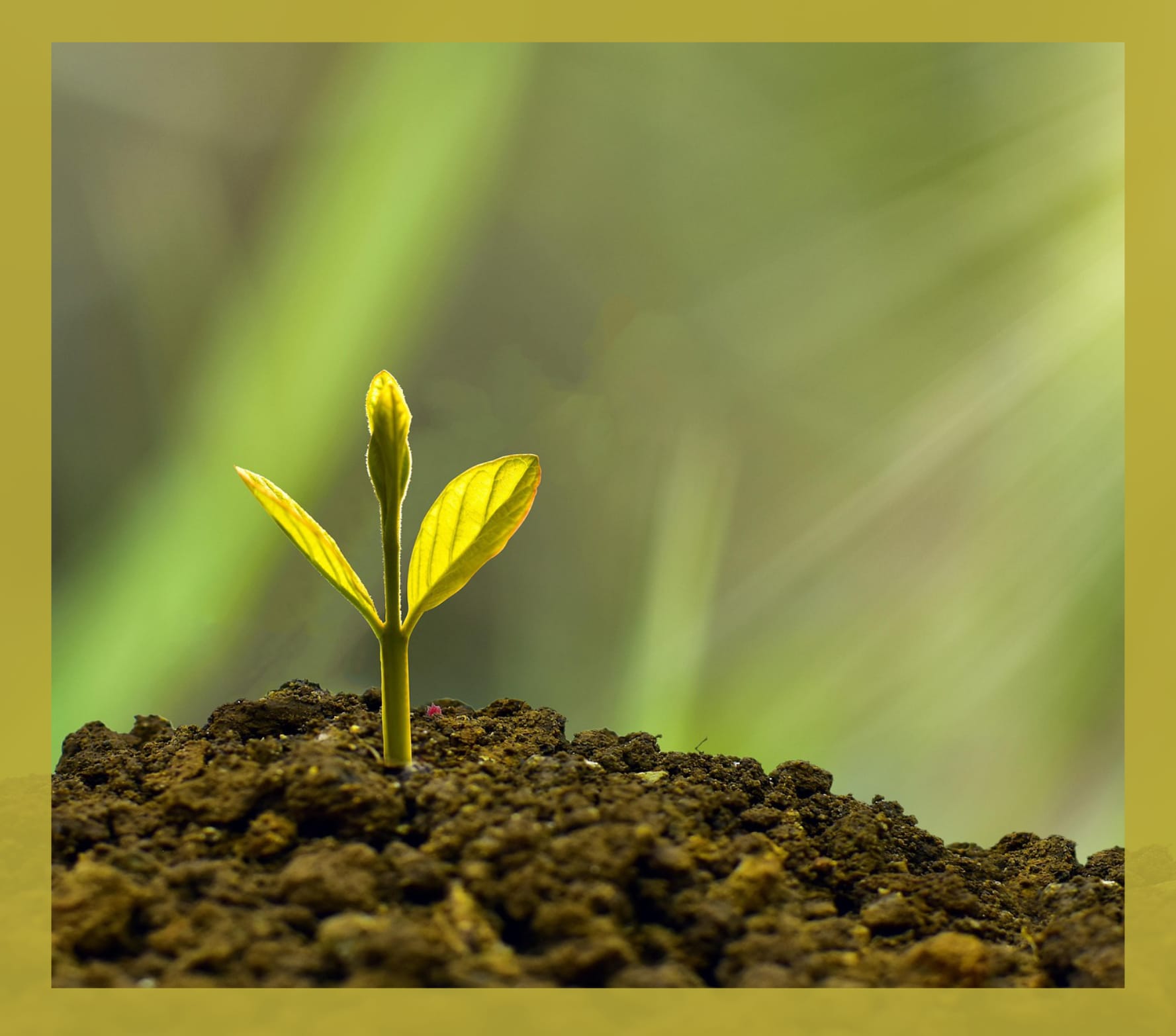 Home Spiritual Growth